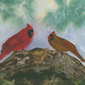 Pine Forest Cardinals by Elizabeth Reich