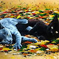 Playful Kittens