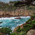 Point Lobos by Joe Fisher