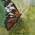 Postman's Flight - A Red Postman Butterfly by Judy Strickland