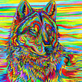 Psychedelic Wolf