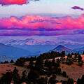 Purple Sunrise