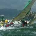 Big Wind on Race Day, San Francisco Bay by Bonnie Colgan