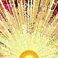 Radiant Abstract Sunburst