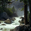 Rapids Amidst Lush Forest