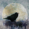 Raven Dark by Priska Wettstein