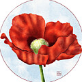 Red Poppy Flower Print - Vibrant Botanical Wall Art, August Birth Flower