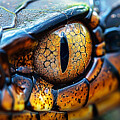 Reptile Eye Close Up Vibrant Colours by Printed View