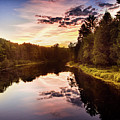 River in the Forest
