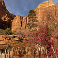 Rock Formations of the Emerald Pools
