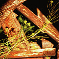 Rustic Wooden Wheel and Wildflowers - Arizona by Tatiana Travelways