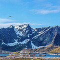 Sakrisoy Lofoten Islands by Douglas Wielfaert
