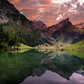 SeeAlpSee by Serge Ramelli