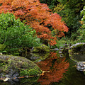 Serene Japanese Garden in Autumn by Mary Jo Allen