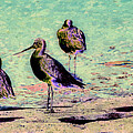 Shorebirds By The Water's Edge With Lichen Texture Digital Art by Bruce Block