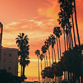 Sizzling Hot San Diego Summer Nights by Abigail Diane Photography
