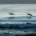 Skimming Over Sunrise Surf by Steven Sparks