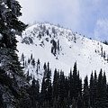 Snowy Ridge Through the Trees