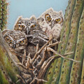 Snug in a Saguaro by Melissa Enderle