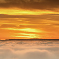 Soaring Above the Clouds by Abigail Diane Photography