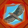 Soaring abstract hawk