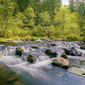 Spring on Squaw Valley Creek - Siskiyou County California by Mike Lee
