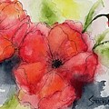 Spring Poppies by Judy Strickland