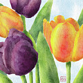 Springtime Tulips