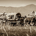 Stars, Stripes and Covered Wagons-Sepia by Carla E
