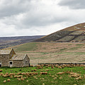 Stone Barn by Nicholas Blackwell