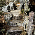 Stone Steps on Trail