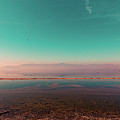 Sulfuric, the Salton Sea Photograph by Shannon Williams