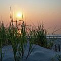 Sunrise behind the Dune Grass