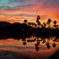 Summeresque Desert Sky Silhouette Refections