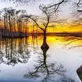 Sunset at Reelfoot Lake in Tennessee