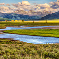 Sunset in Lamar Valley in Yellowstone National Park 