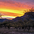 Sunset Over Kartchner Caverns by Matt Halvorson