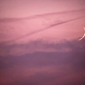 Sunset Sky Moon by Lisa Chorny
