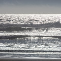 Surface by Gina Cinardo