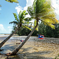Swinging Under The Palm Trees, Loiza, Puerto Rico