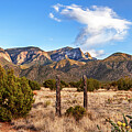 Tapestry of the Southwest