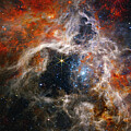 Tarantula Nebula Large High Resolution Print by Printed View