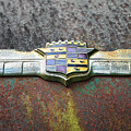 Tattered Chrome Wings Photograph by Steven Nelson