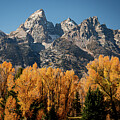 Tetons in Fall by Craig A Walker