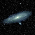 The Andromeda Galaxy - 10/2021 by Rich Kovach