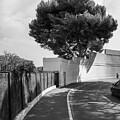 The Boulevard by Steven Nelson
