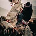 The Cowboy 3