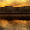 The Dawning by Tim Lyden