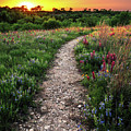 The Path Less Traveled