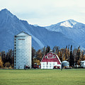 The Red Barn in Palmer Alaska by David Morefield